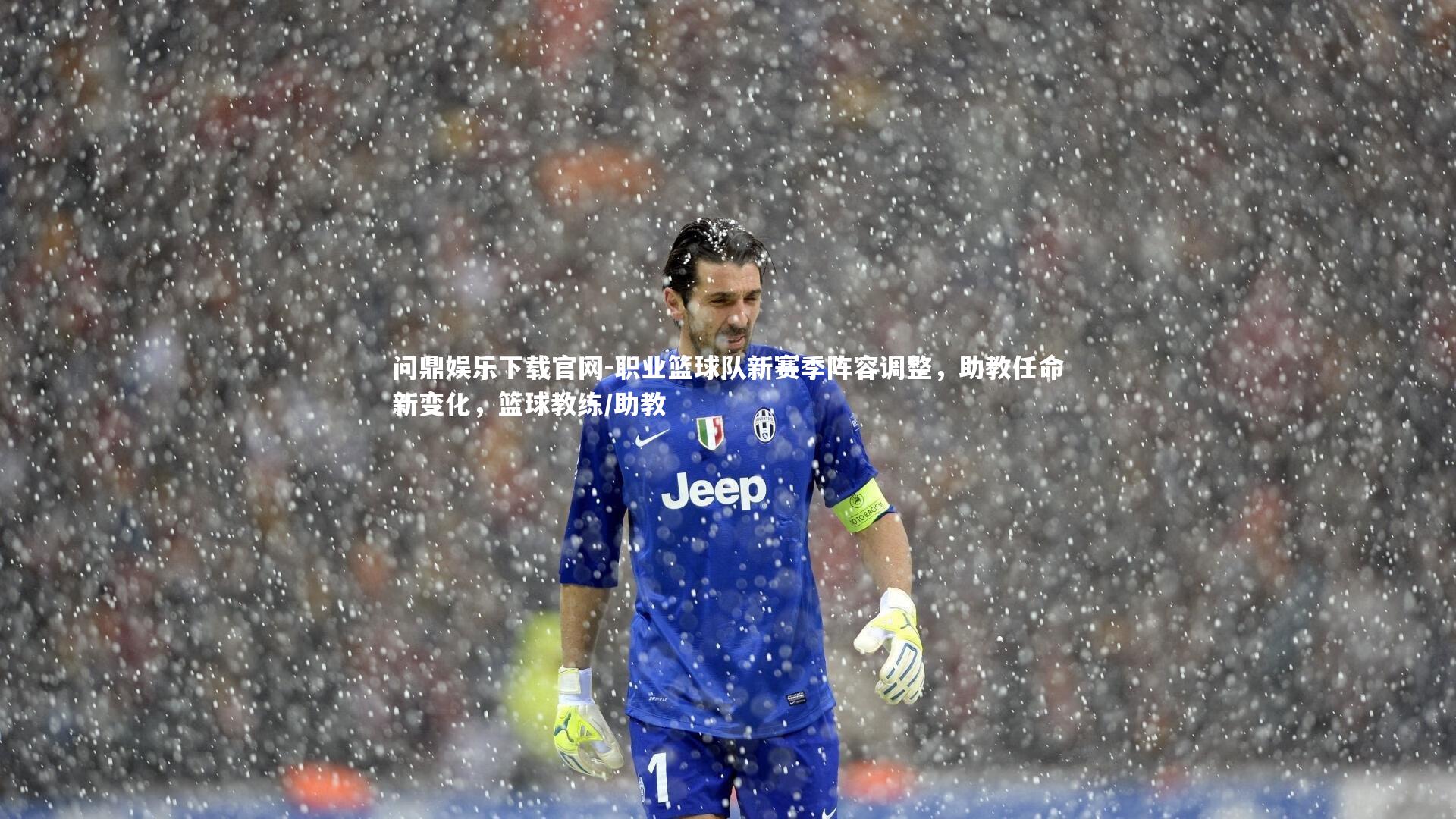 职业篮球队新赛季阵容调整，助教任命新变化，篮球教练/助教